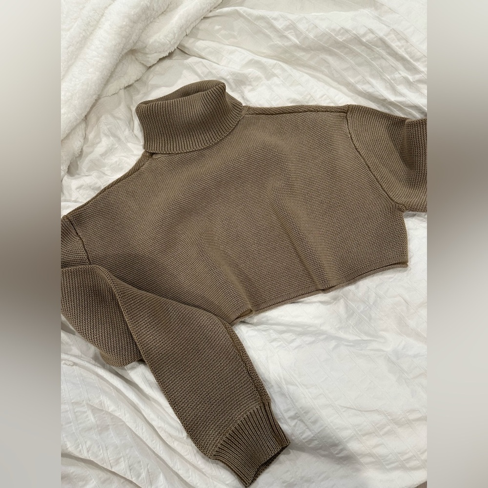 ♥️ Zara Brown Turtleneck Sweater